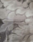 Анкета проститутки Жасмин - метро Тверской, возраст - 24